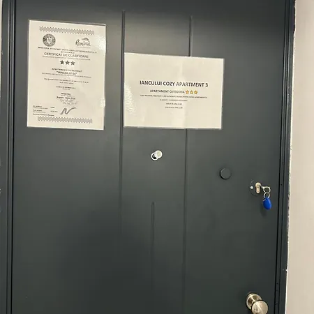 Apartamento Iancului *
